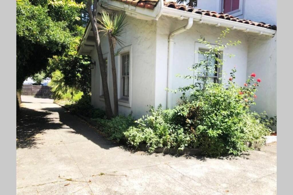 Elegant Spacious Private Studio ~ Upscale Berkeley Ngoại thất bức ảnh